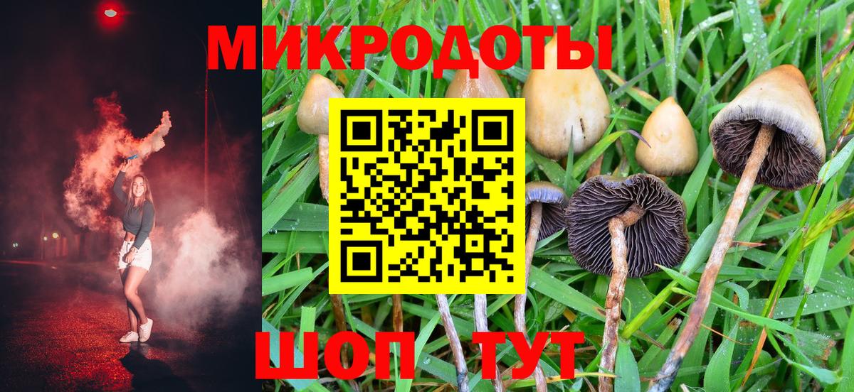 Бугуруслан  купить наркоту  Галлюциногенные грибы GOLDEN TEACHER  Вход с VPN  Галлюциногенные грибы GOLDEN TEACHER 